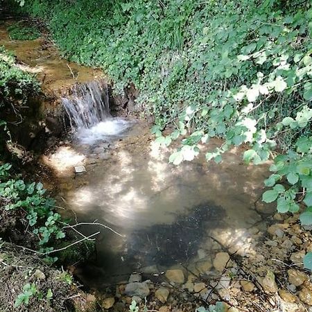 Domaine Moulin De Quincenat Apartman Champagnat  Kültér fotó