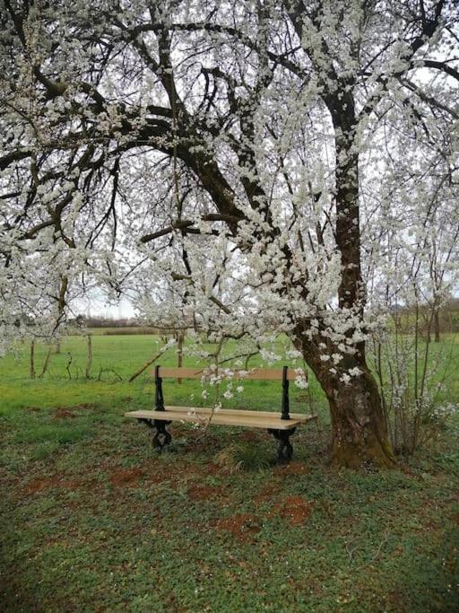 Domaine Moulin De Quincenat Apartman Champagnat  Kültér fotó