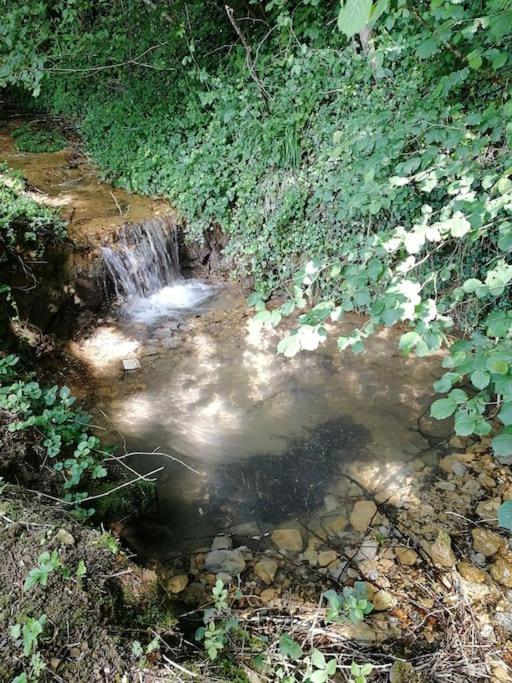 Domaine Moulin De Quincenat Apartman Champagnat  Kültér fotó