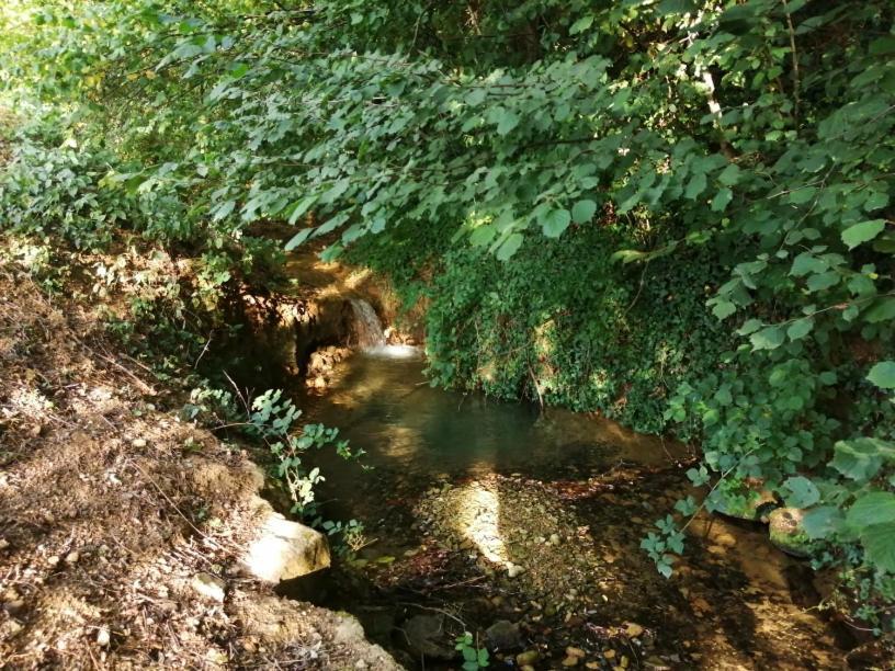 Domaine Moulin De Quincenat Apartman Champagnat  Kültér fotó